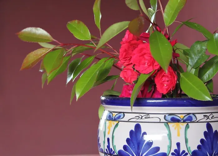 Luna לינה וארוחת בוקר